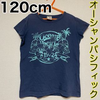 オーシャンパシフィック(OCEAN PACIFIC)の120cm/オーシャンパシフィック(Tシャツ/カットソー)