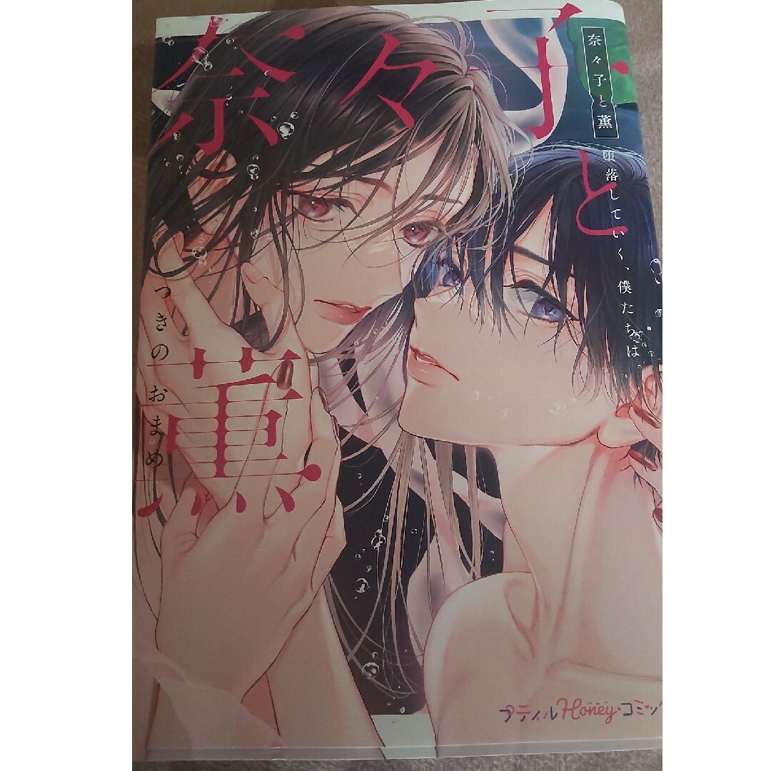 奈々子と薫 堕落していく、僕たちは。 エンタメ/ホビーの漫画(女性漫画)の商品写真