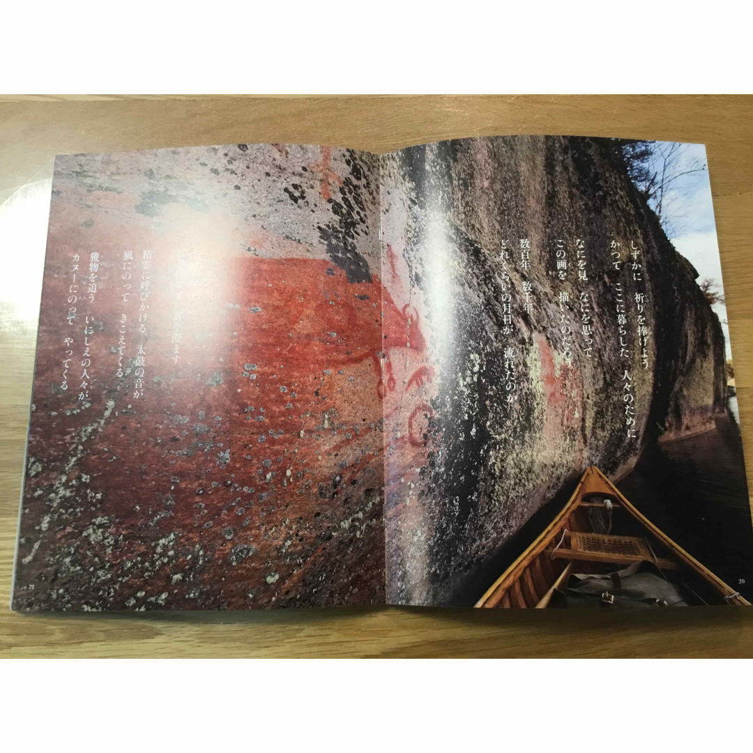 たくさんのふしぎ　森関連　3冊 エンタメ/ホビーの雑誌(絵本/児童書)の商品写真