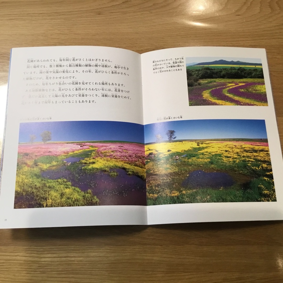 たくさんのふしぎ　砂漠・アフリカの植物関連　3冊 エンタメ/ホビーの雑誌(絵本/児童書)の商品写真