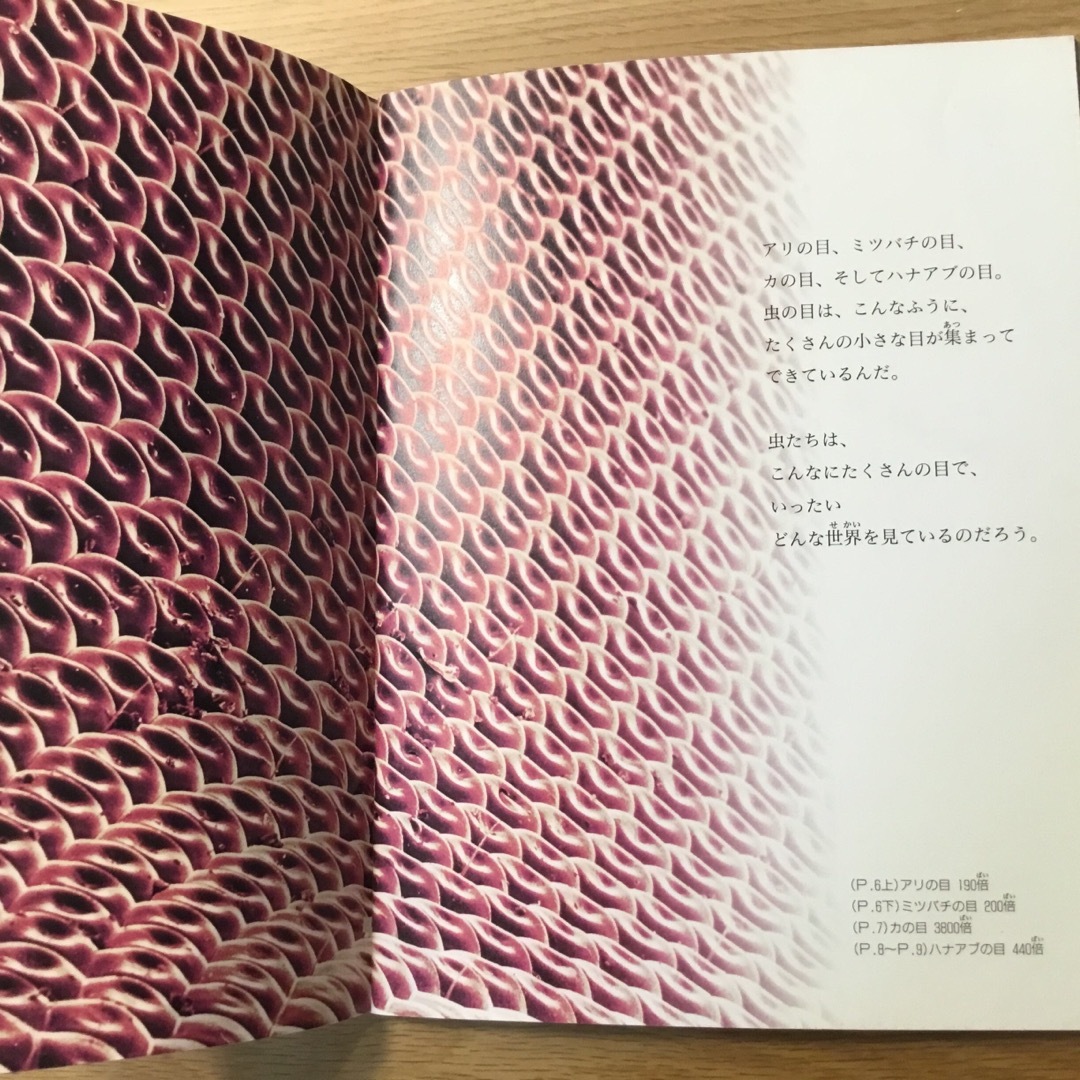 たくさんのふしぎ　ミクロの世界に関連する2冊 エンタメ/ホビーの雑誌(絵本/児童書)の商品写真