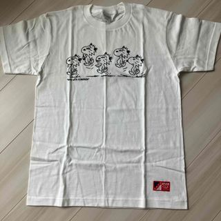 MWAM Ｔシャツ