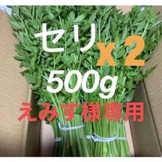 えみす様専用。【1开工】(野菜)