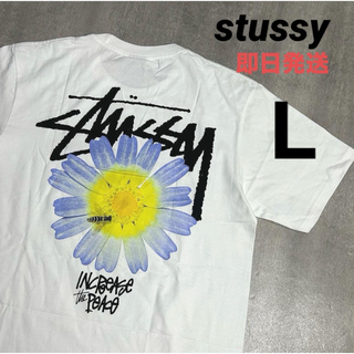 ステューシー(STUSSY)のstussy メンズ レディース 白 半袖 Tシャツ ITP FLOWER L(Tシャツ/カットソー(半袖/袖なし))
