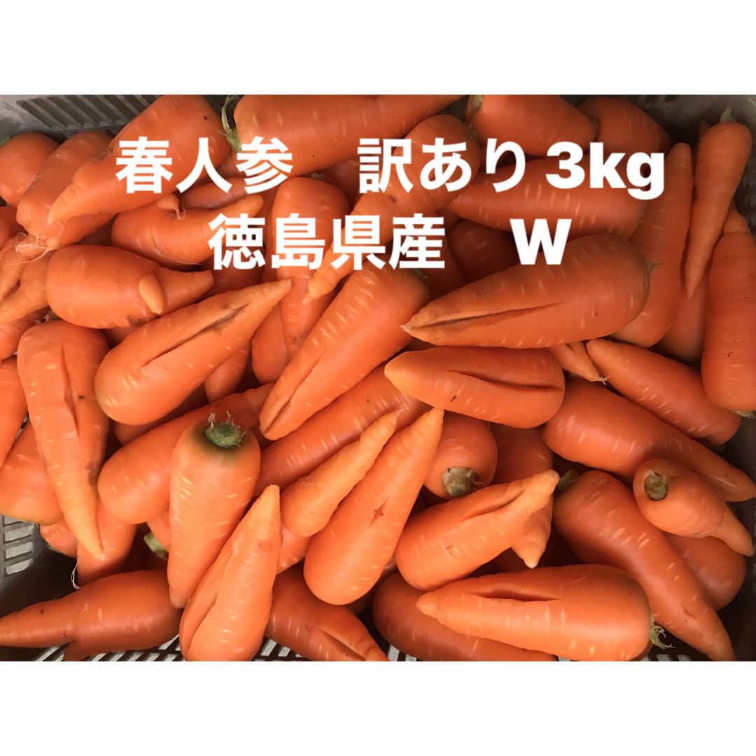 春人参　訳あり 3kg  W 徳島県産 食品/飲料/酒の食品(野菜)の商品写真