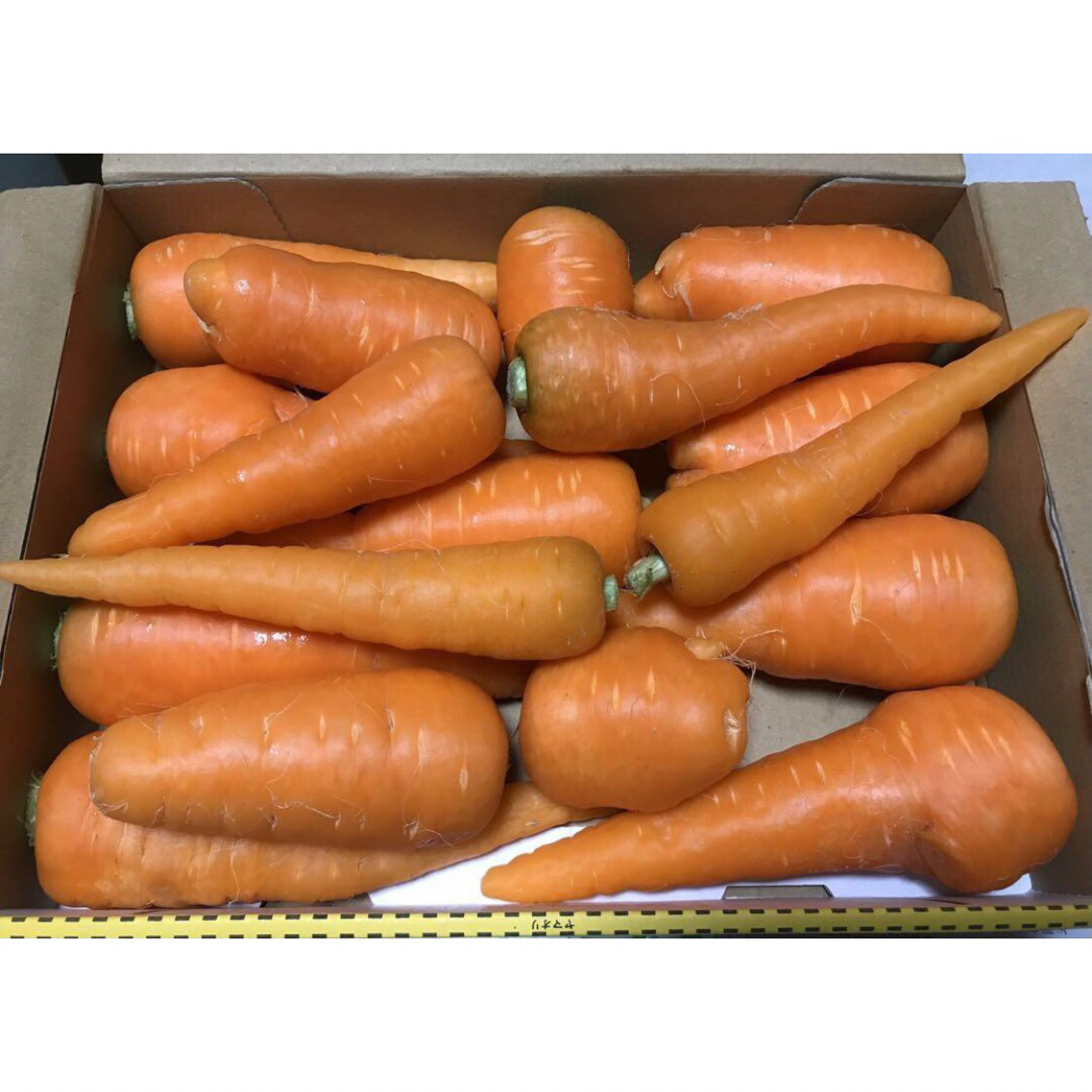 春人参　訳あり 3kg  W 徳島県産 食品/飲料/酒の食品(野菜)の商品写真