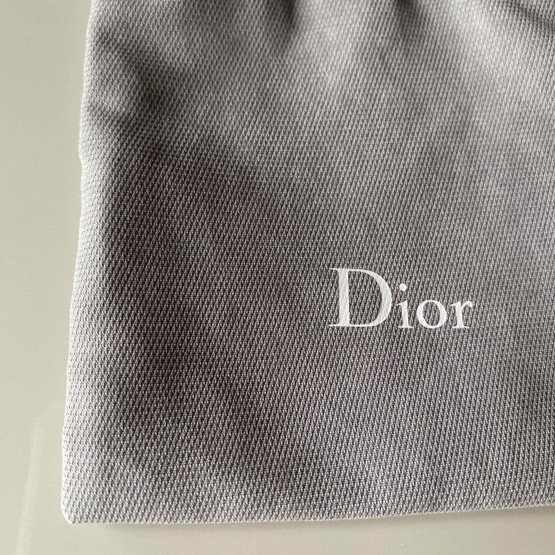 Dior(ディオール)のDior 袋 レディースのファッション小物(ポーチ)の商品写真