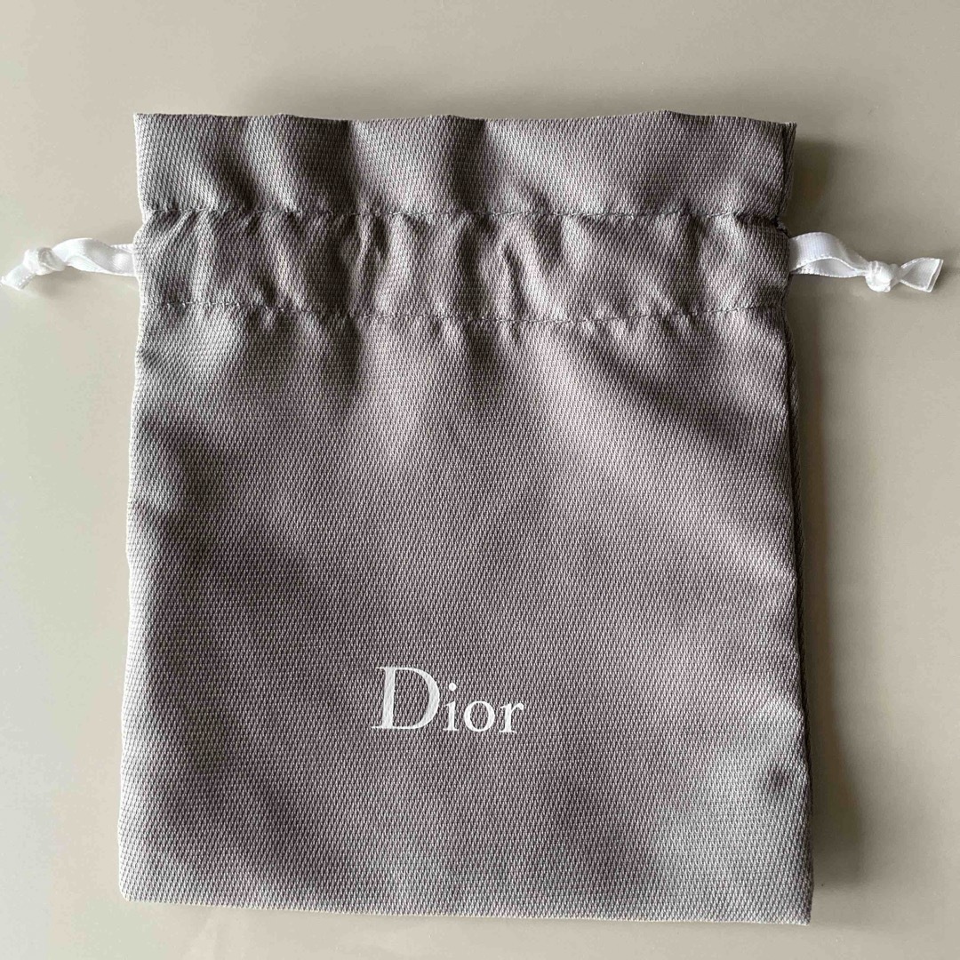 Dior(ディオール)のDior 袋 レディースのファッション小物(ポーチ)の商品写真