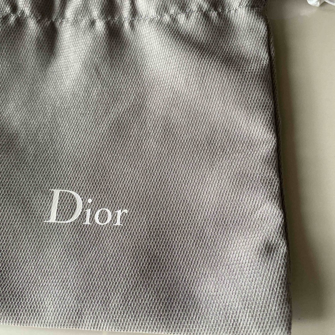 Dior(ディオール)のDior 袋 レディースのファッション小物(ポーチ)の商品写真