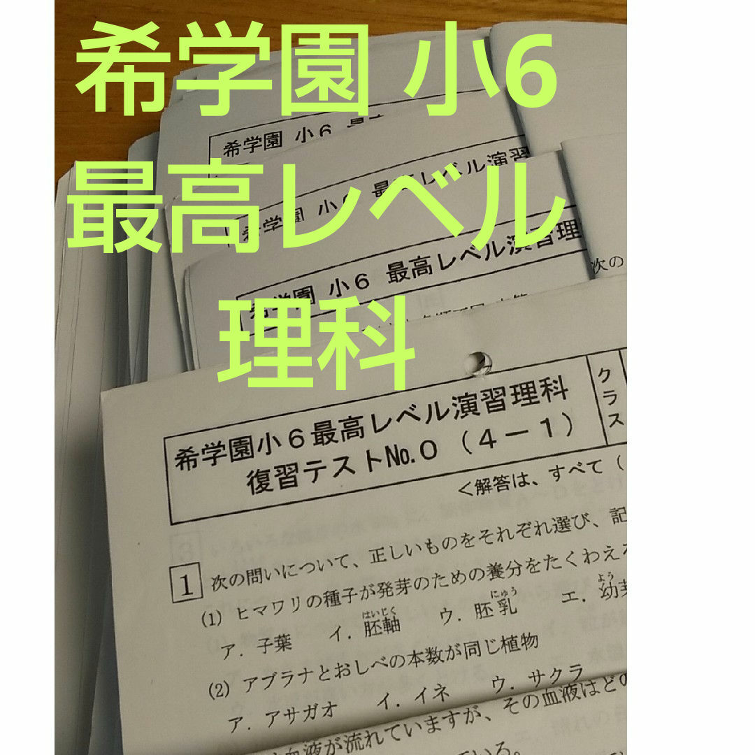 希学園 小6 最高レベル演習 理科 復習テスト エンタメ/ホビーの本(語学/参考書)の商品写真