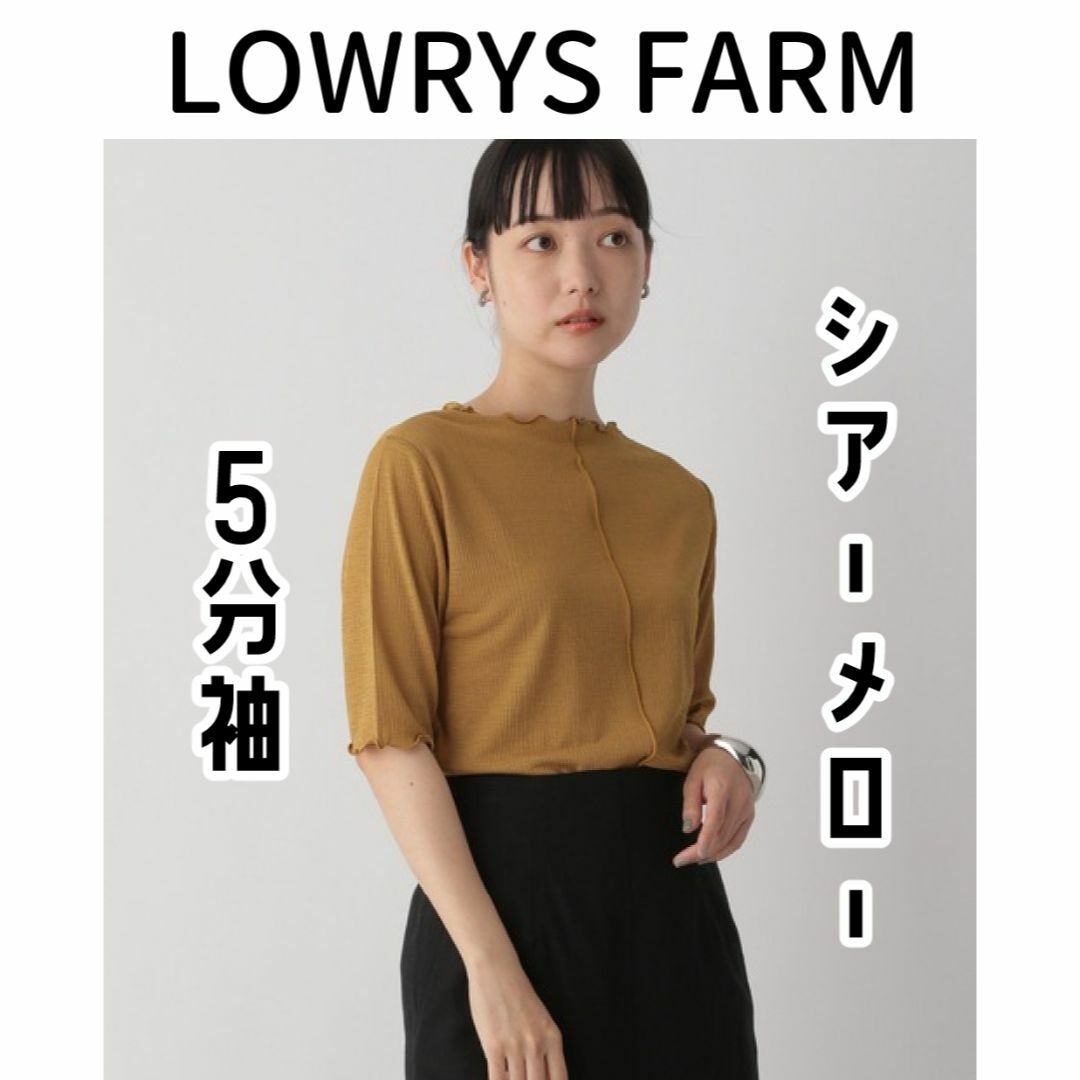 LOWRYS FARM(ローリーズファーム)のLOWRYS FARM　シアーメロー５分袖　282354　ブラウン レディースのトップス(Tシャツ(半袖/袖なし))の商品写真