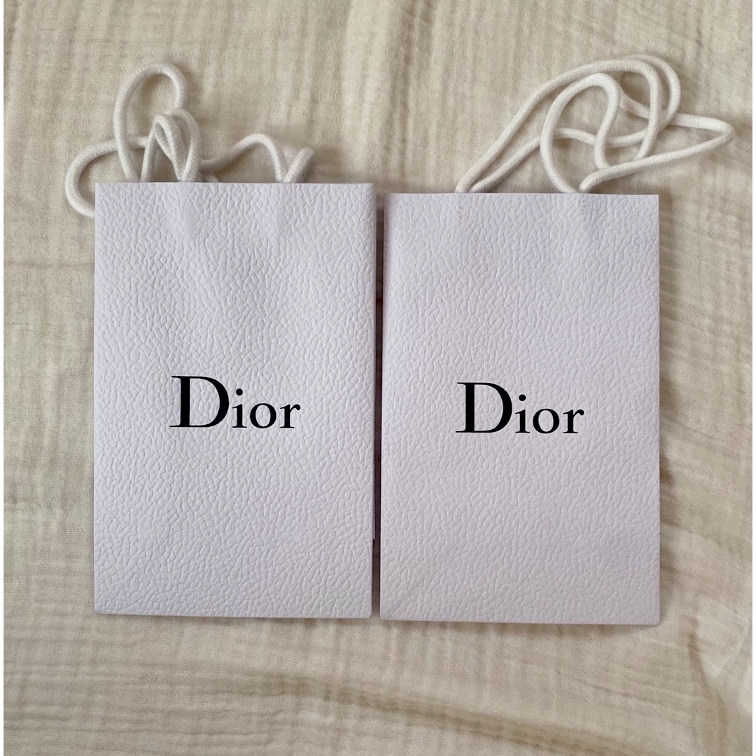 Dior(ディオール)のDior ショッピング袋 インテリア/住まい/日用品のオフィス用品(ラッピング/包装)の商品写真