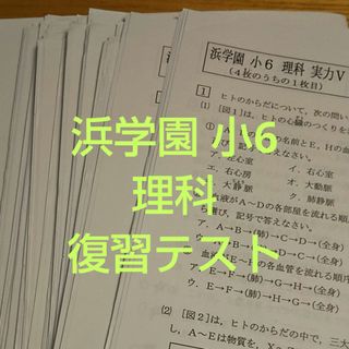 浜学園 小6 Vクラス マスター 理科 復習テスト(語学/参考書)