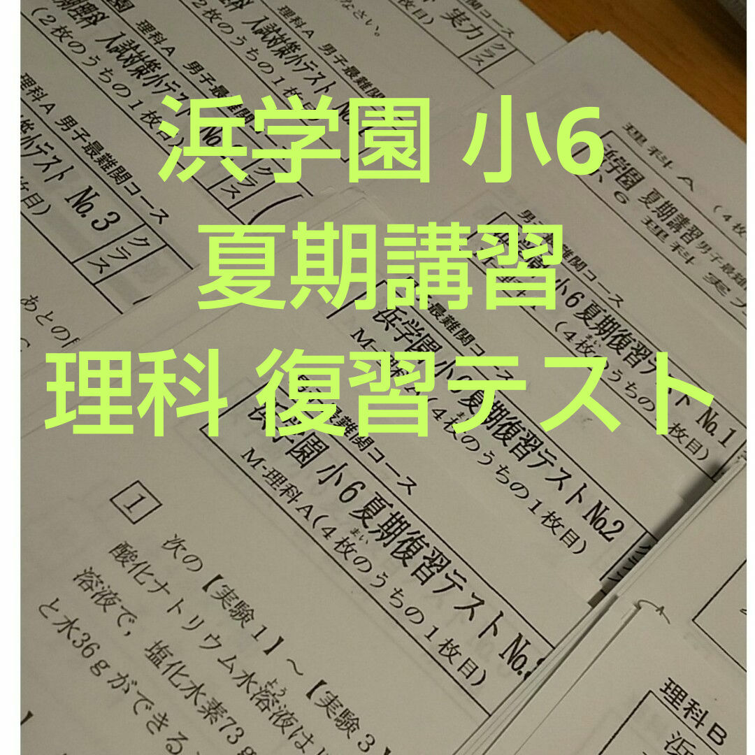 浜学園 小6 夏期講習 理科 男子最難関 復習テスト エンタメ/ホビーの本(語学/参考書)の商品写真