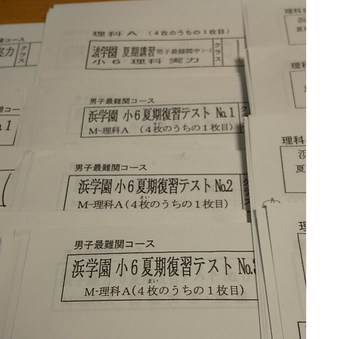 浜学園 小6 夏期講習 理科 男子最難関 復習テスト エンタメ/ホビーの本(語学/参考書)の商品写真