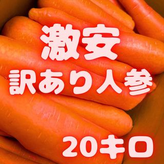 めっちゃ安い　訳あり　人参　20kg  46(野菜)