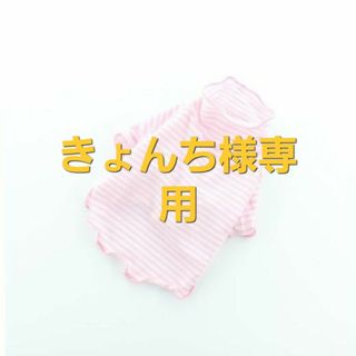 きょんち様専用(犬)