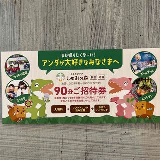 小さなアンダ　しゅみの森　東新宿店　(その他)