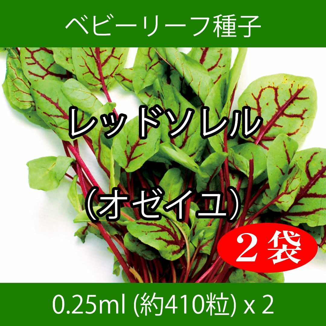 ベビーリーフ種子 B-50 レッドソレル（オゼイユ） 0.25ml x 2袋 食品/飲料/酒の食品(野菜)の商品写真