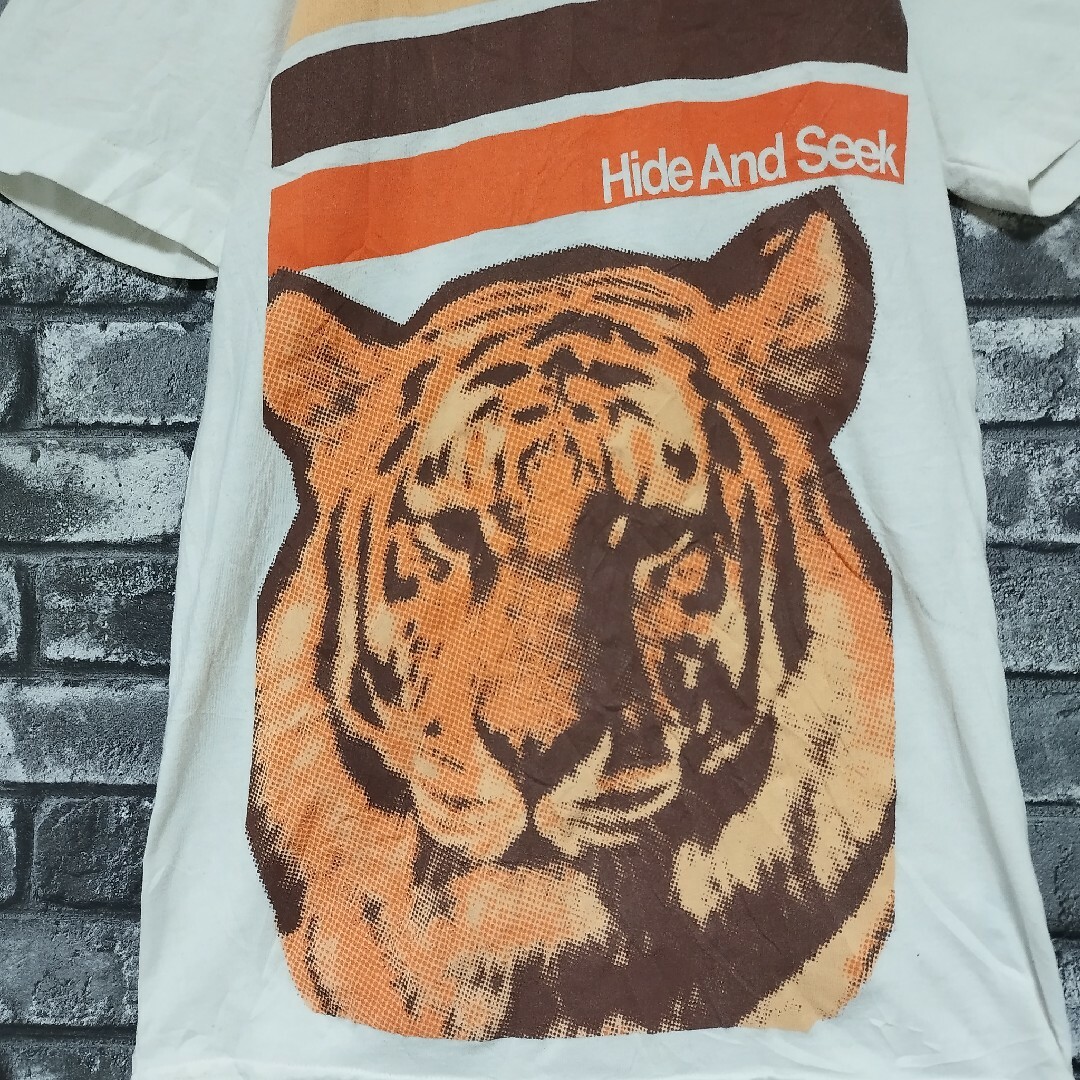American Apparel(アメリカンアパレル)のアメリカンアパレルタイガー虎アニマルtシャツTシャツビッグプリントロゴtee メンズのトップス(Tシャツ/カットソー(半袖/袖なし))の商品写真