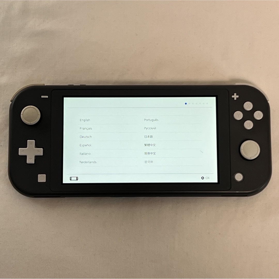 Nintendo Switch(ニンテンドースイッチ)のNintendo Switch Lite グレー　本体のみ エンタメ/ホビーのゲームソフト/ゲーム機本体(携帯用ゲーム機本体)の商品写真