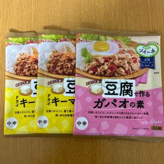 ハウスショクヒン(ハウス食品)の専用　ハウス食品 ４０ｇ　ソイーネ　豆腐で作るドライキーマカレーの素　2袋セット(その他)