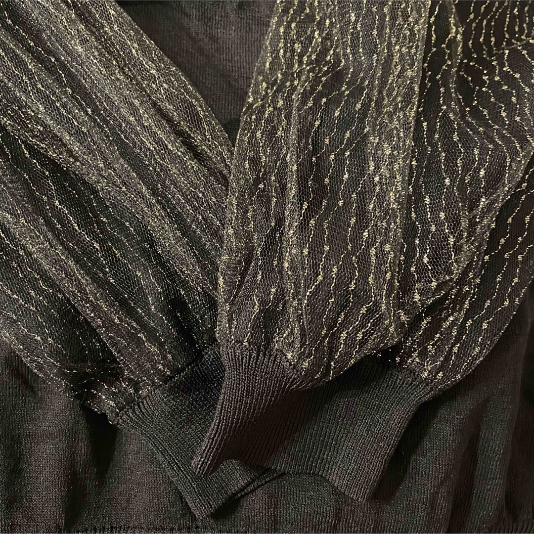 しまむら(シマムラ)の袖　ラメ　チュール　カットソー レディースのトップス(カットソー(長袖/七分))の商品写真