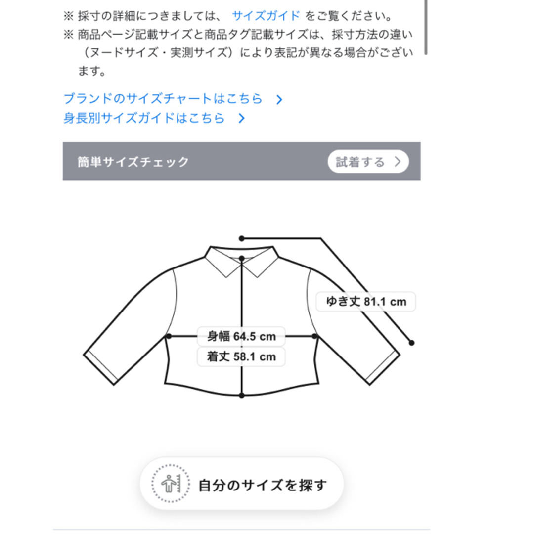 アンフィーロ　UNFILO イージーケア　クロップドシャツ　XL レディースのトップス(シャツ/ブラウス(長袖/七分))の商品写真