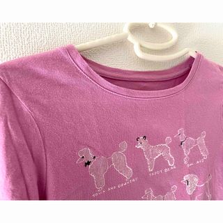 ギャップキッズ(GAP Kids)のGAP kids★ピンク長袖Tシャツ★ブードル★140cm(Tシャツ/カットソー)