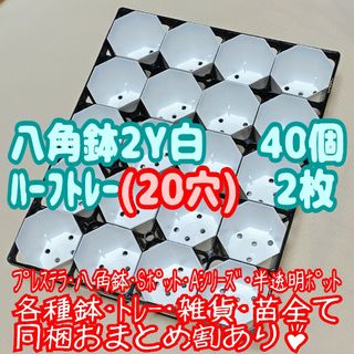 カネヤ八角鉢2Y白40個+ハーフトレー2枚 プラ鉢スリット鉢プレステラ多肉植物(プランター)