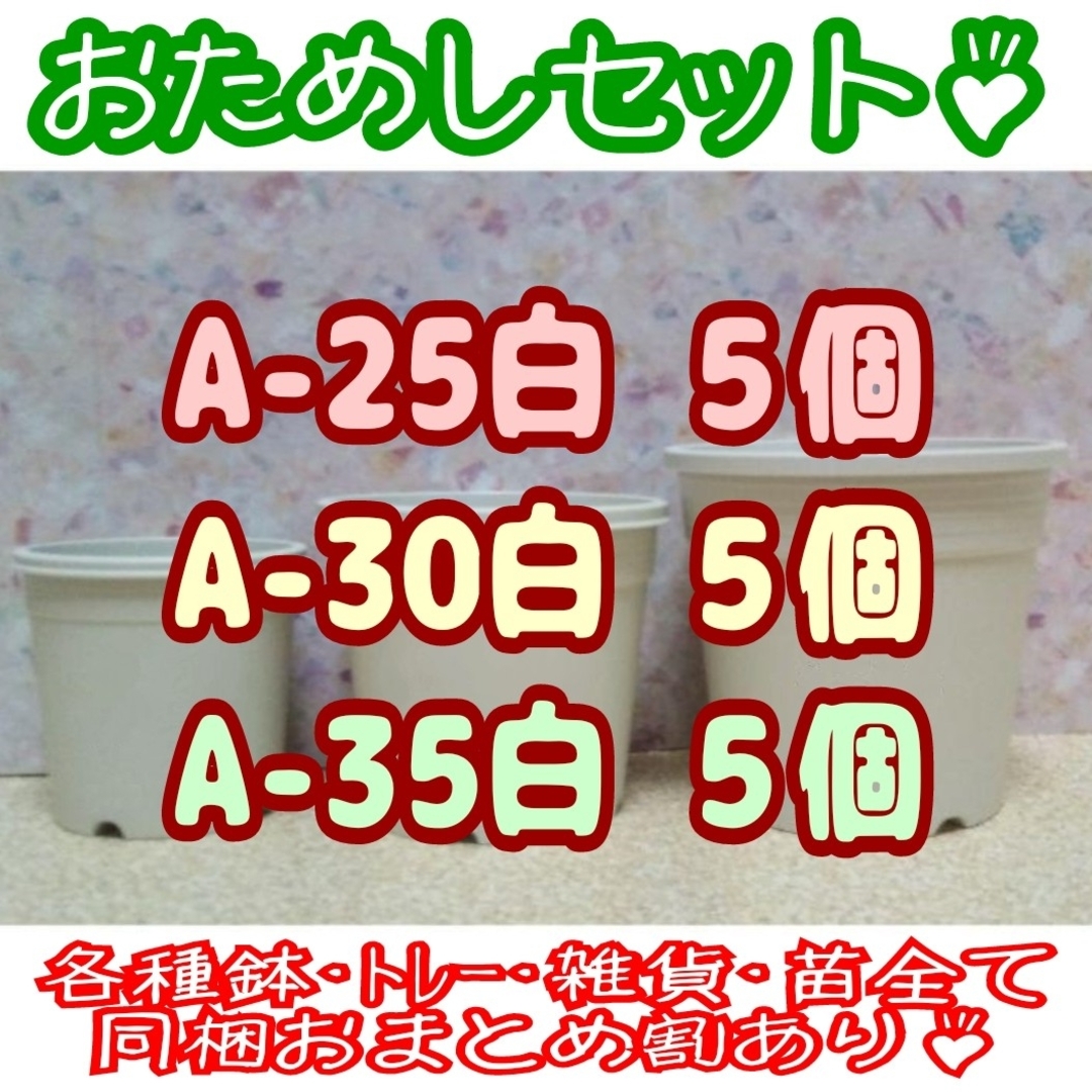 プラ鉢おためしセット♪【A-25・30・35 各5個】プレステラ多肉植物 ハンドメイドのフラワー/ガーデン(プランター)の商品写真