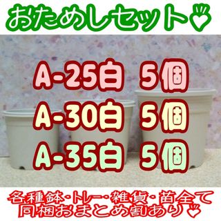 プラ鉢おためしセット♪【A-25・30・35 各5個】プレステラ多肉植物(プランター)