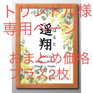 トリンドル様専用ページ♡命名書♡A4サイズ2枚分おまとめ価格(命名紙)