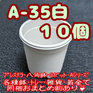 プラ鉢【A-35】10個 スリット鉢 丸 プレステラ 多肉植物(プランター)