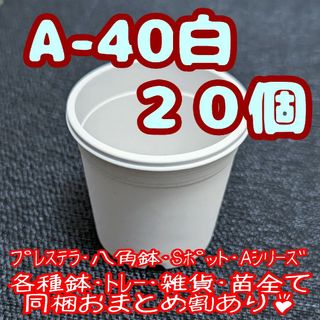 プラ鉢【A-40】20個 スリット鉢 丸 プレステラ 多肉植物(プランター)