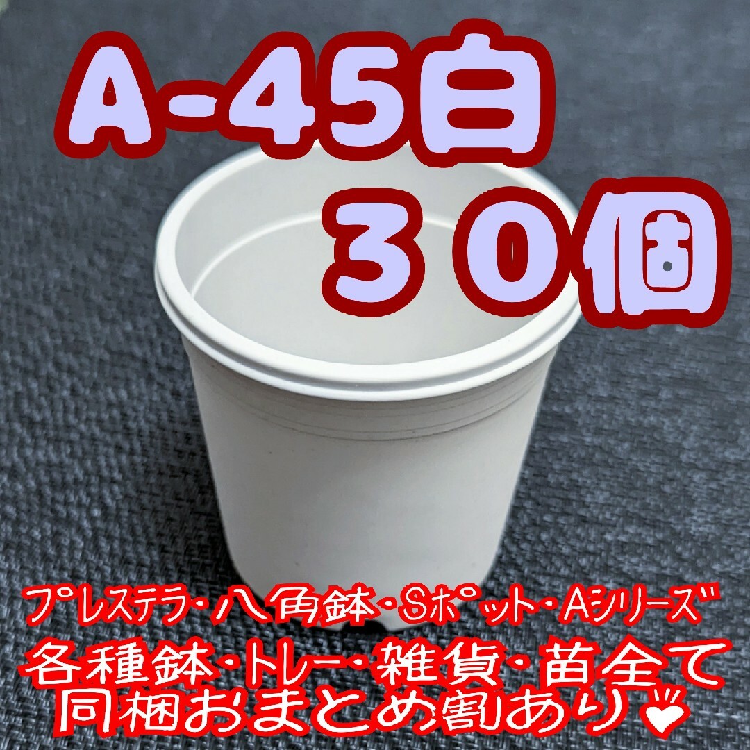 プラ鉢【A-45】30個 スリット鉢 丸 プレステラ 多肉植物 ハンドメイドのフラワー/ガーデン(プランター)の商品写真