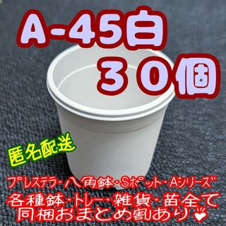 プラ鉢【A-45】30個 スリット鉢 丸 プレステラ 多肉植物(プランター)