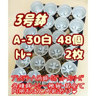 プラ鉢【A-30】48個+専用システムトレー2枚 スリット鉢プレステラ多肉植物(プランター)