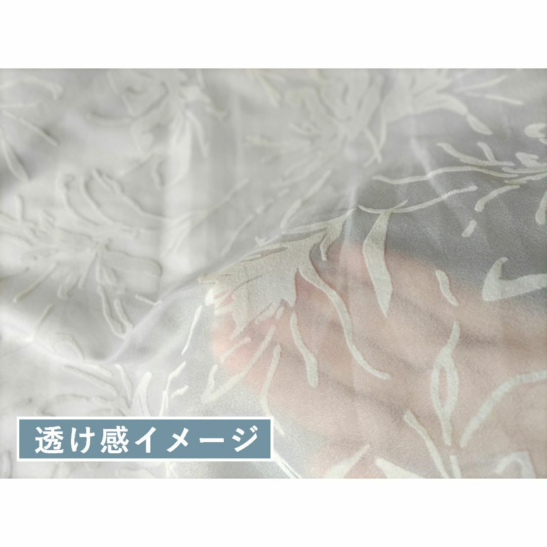 未使用  ＼シースルー＆レイヤード／ シフォンブラウス  | ESPRITMUR レディースのトップス(シャツ/ブラウス(長袖/七分))の商品写真