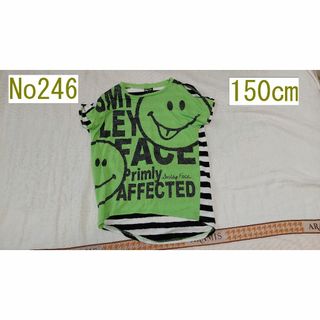 150ｃｍ 肩がでるシャツ（背面ボーダー）(Tシャツ/カットソー)