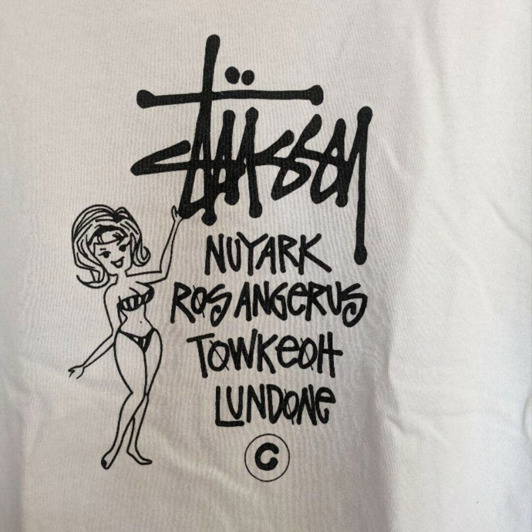 STUSSY(ステューシー)のSTUSSY  × champion 　コラボTシャツ メンズのトップス(Tシャツ/カットソー(半袖/袖なし))の商品写真