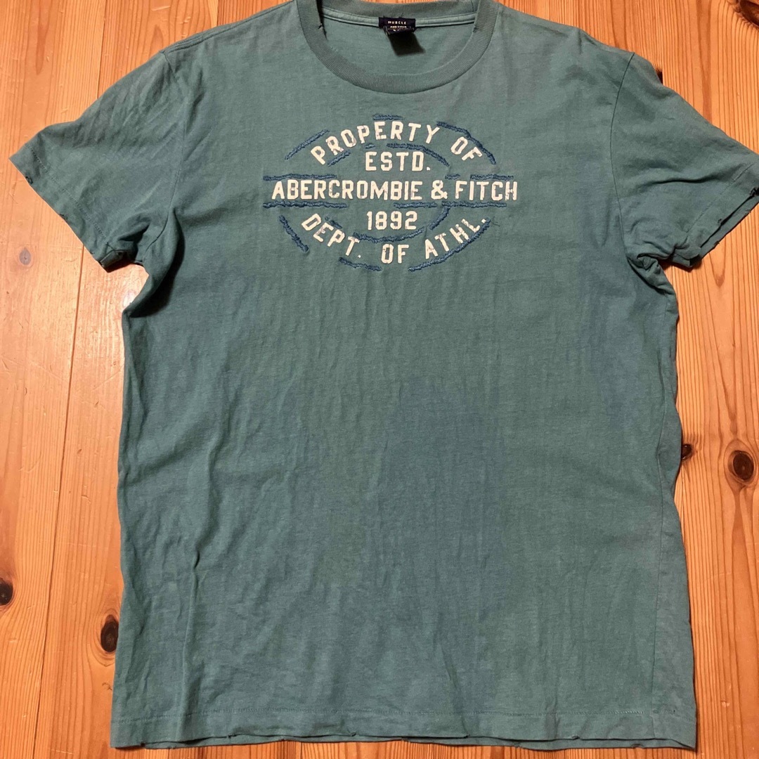 Abercrombie&Fitch(アバクロンビーアンドフィッチ)のアバクロ　ダメージTシャツ メンズのトップス(Tシャツ/カットソー(半袖/袖なし))の商品写真