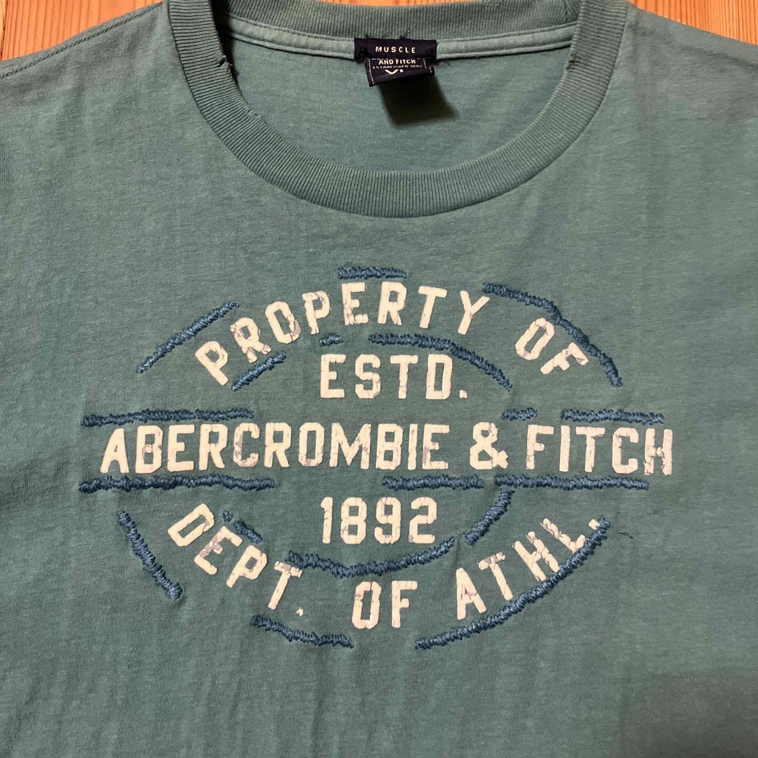 Abercrombie&Fitch(アバクロンビーアンドフィッチ)のアバクロ　ダメージTシャツ メンズのトップス(Tシャツ/カットソー(半袖/袖なし))の商品写真