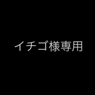 イチゴ様専用(ピアス(両耳用))