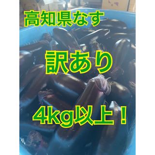 【訳あり】高知県なす　4kg以上！(野菜)