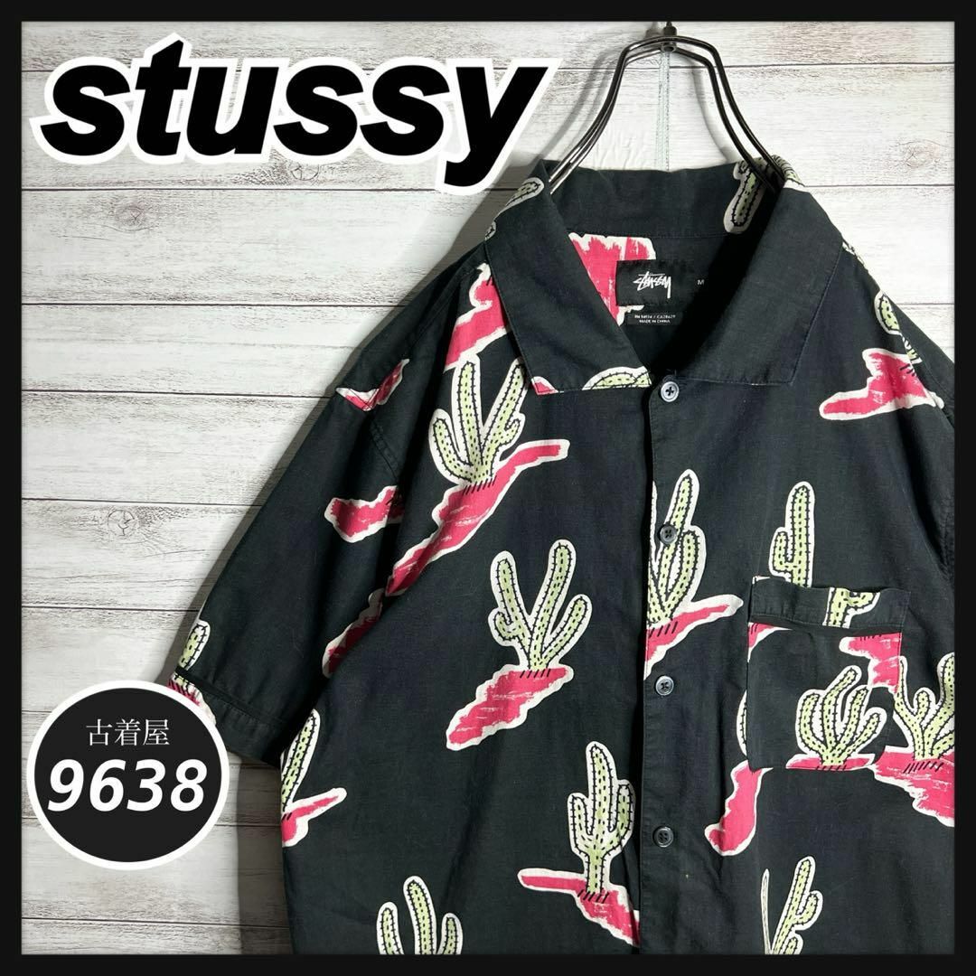 STUSSY(ステューシー)の【入手困難!!】ステューシー ✈︎半袖シャツ サボテン柄 重ね着 一点物 希少 メンズのトップス(Tシャツ/カットソー(半袖/袖なし))の商品写真