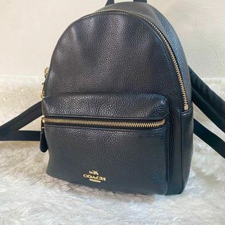 コーチ(COACH)の【未使用級】　coach リュック　バックパック　レザー　ミニリュック　ブラック(リュック/バックパック)