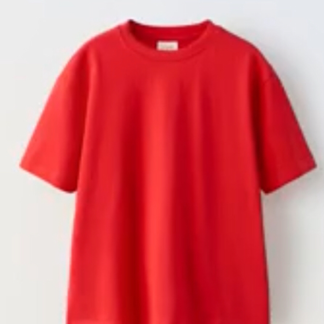 ZARA(ザラ)のzara Tシャツ メンズのトップス(Tシャツ/カットソー(半袖/袖なし))の商品写真