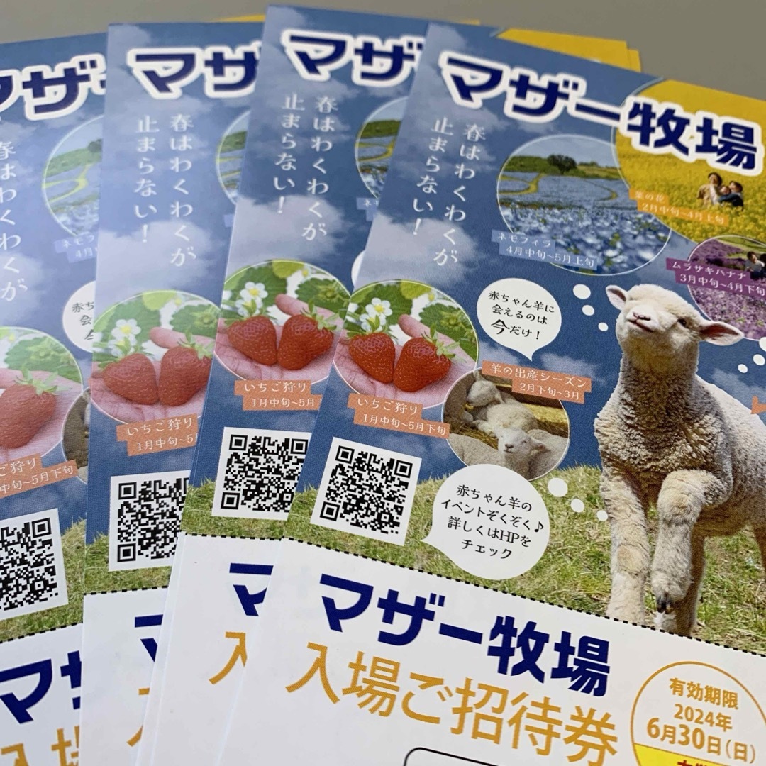 匿名発送　マザー牧場招待券〜6月30日　4枚 チケットの施設利用券(動物園)の商品写真