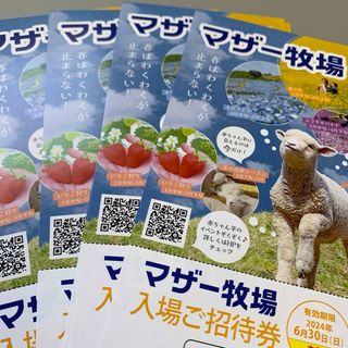 匿名発送　マザー牧場招待券〜6月30日　4枚(動物園)